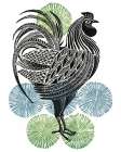 Cockerel Art Print