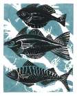 Fish Art Print