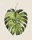 Tropical Leaf I Art Print