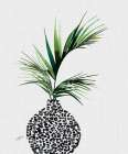 Areca Palm Plant Art Print