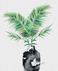 Majesty Palm Plant Art Print