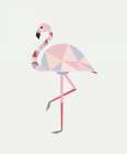 Flamingo Art Print