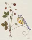 Wild Strawberries Art Print