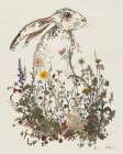 Hiding Hare Art Print
