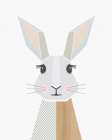 Rabbit Art Print