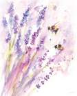 Bees and Lavender Art Print