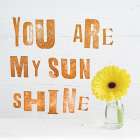 You Are My Sun Shine Art Print by Howard Shooter