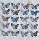 Butterfly Grid Art Print by Howard Shooter