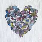 Butterfly Heart Art Print by Howard Shooter