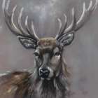 Stag Art Print