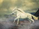 Race The Storm Art Print by Lisa Saint
