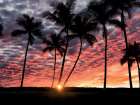Hawaiian Sunset Art Print