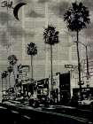 The Palms Art Print