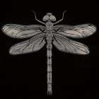 Dragonfly Art Print