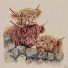 Neighbourhood Watch Art Print