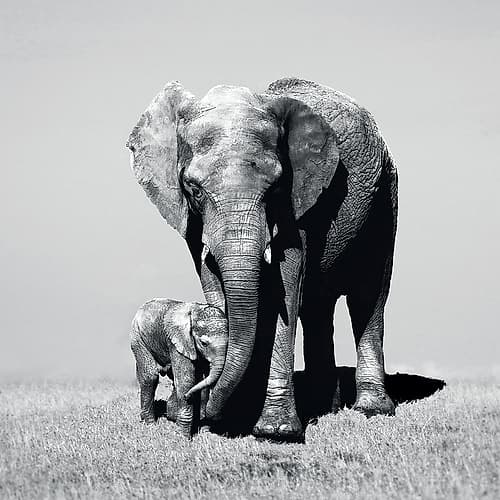 Stay Close Art Print by Marina Cano