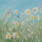 Daisy Meadow Art Print