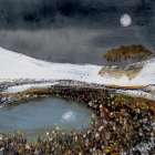 A Tranquil Moon II Art Print