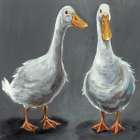 Whats Up Duck Art Print