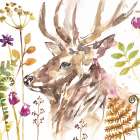 Stag Art Print