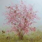 Early Blossom Art Print