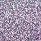 Pink Blossom Art Print