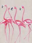 Elegant Flamingos Art Print