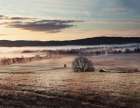 Misty Morning Art Print