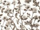 Viburnum Juddii flowers Art Print