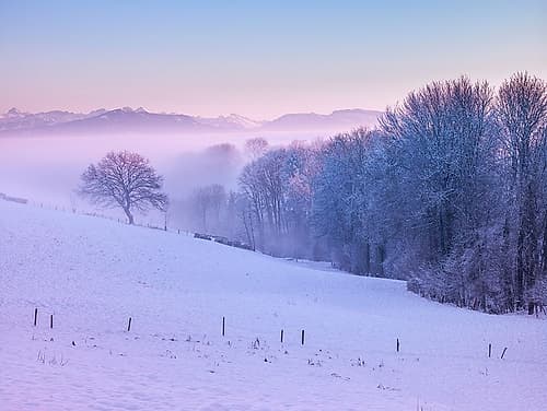 Winter landsacpe in Switzerland Landscape Print