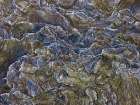 Frosty rock surface Art Print