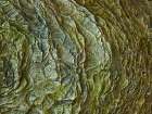 Frosty rock surface Art Print