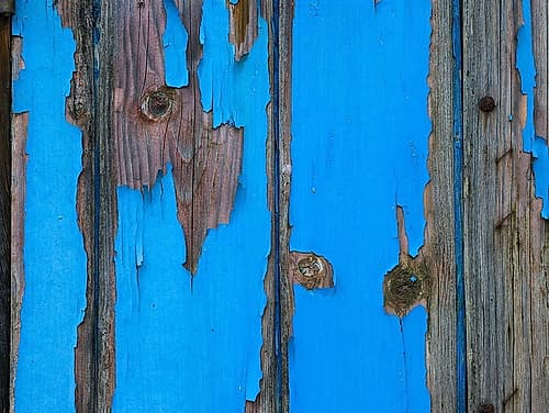 Paint on old door surface Photography Print