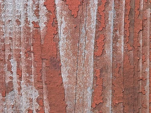 Paint on old door surface Photography Print