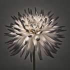 Dahlia Flower Art Print