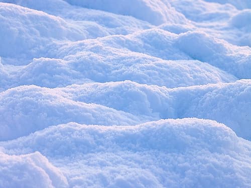 Snow Nature Print