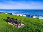 Bench on lawn with beach huts in background Art Print