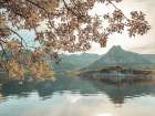 Norwegian fjord, Lofoten, Norway Art Print