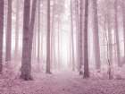 Misty trees in pink Art Print