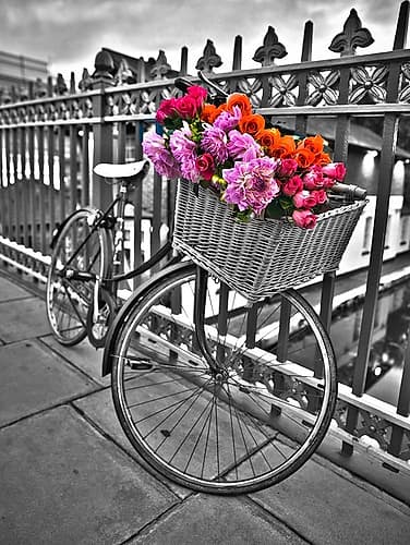 Bicycles with flowers Art Print