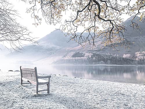 Bench by still lake Landscape Print