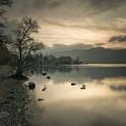 Still lake at dusk Art Print