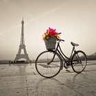 Bicycle with a basket of flowers next to the Eiffel tower Art Print
