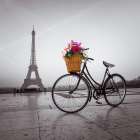 Bicycle with a basket of flowers next to the Eiffel tower Art Print