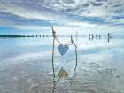 Heart tied up on wooden sticks at the beach Art Print