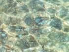 Water Surface Art Print