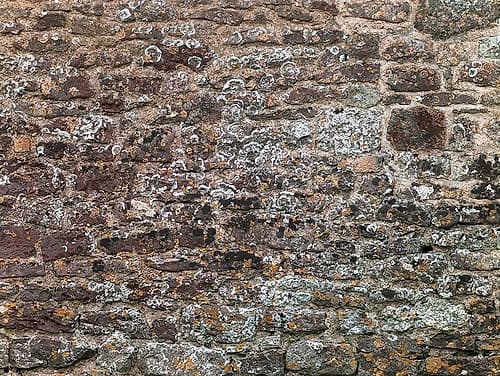 Old wall Photography Print