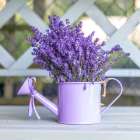Watering can with Lavender flowers Art Print