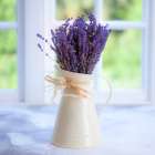 Bunch of lavender in antique jug by the window - Indoors Art Print