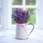 Bunch of lavender in antique jug by the window - Indoors Art Print